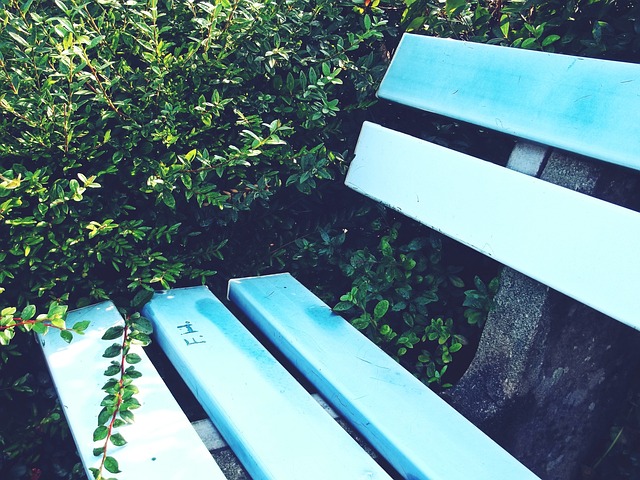 罗马门将的 罗马门将的