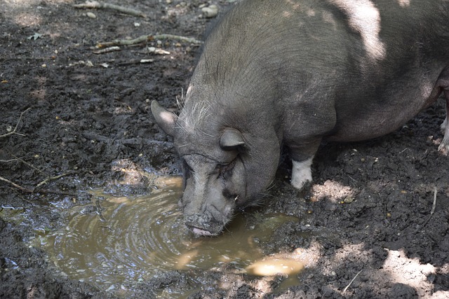 更成为了网 更成为了网
