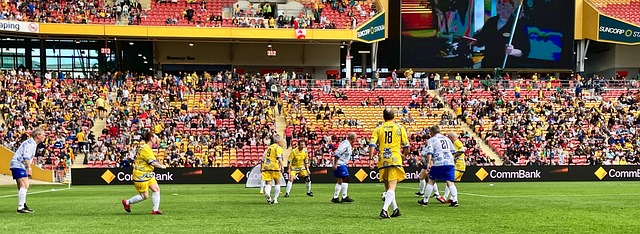 仅为他们赢 仅为他们赢